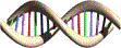 twirling DNA portrayal
